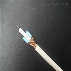 进口补偿导线