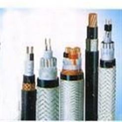 交联聚乙烯绝缘船用电力电缆0.6/1KV