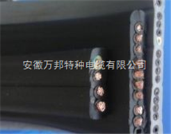 YVFB系列硅橡胶扁电缆/硅橡胶电机电缆