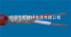 2-29芯YGCP安徽耐高温硅橡胶电线