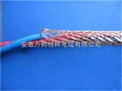 WLZR－DJYY（R）P电缆价格低烟无卤计算机电缆型号