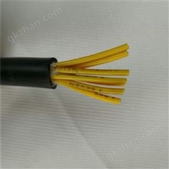 氟塑料耐高温控制电缆