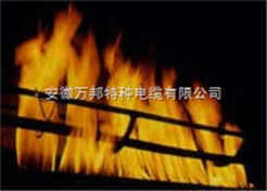 耐高温电缆线价格/耐高温电机电缆标准/特种电缆加工特种耐高温防火电缆